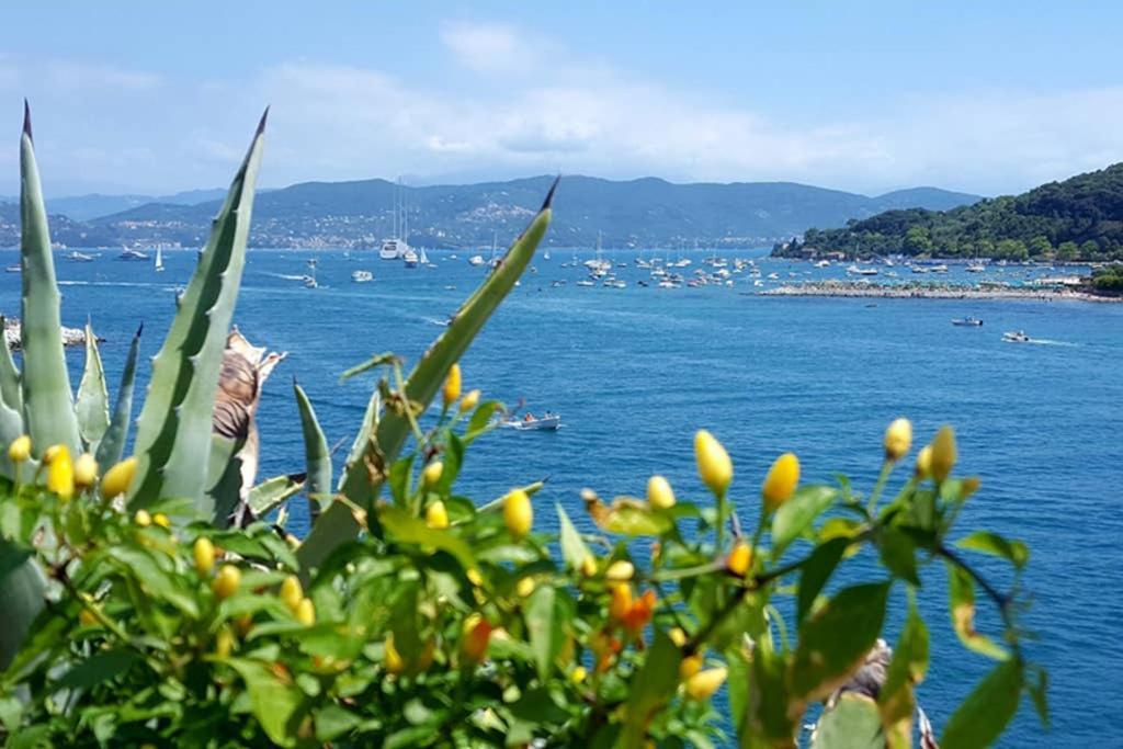 Infinity Blue Daire Porto Venere Dış mekan fotoğraf